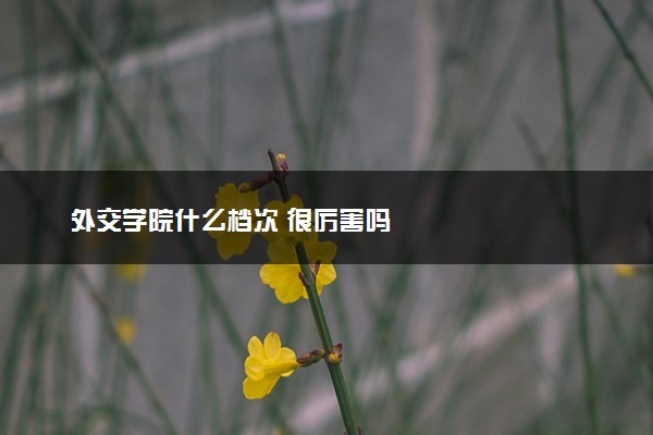 外交学院什么档次 很厉害吗