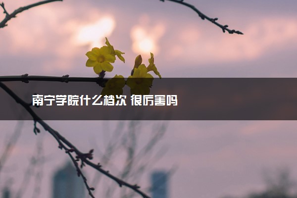 南宁学院什么档次 很厉害吗