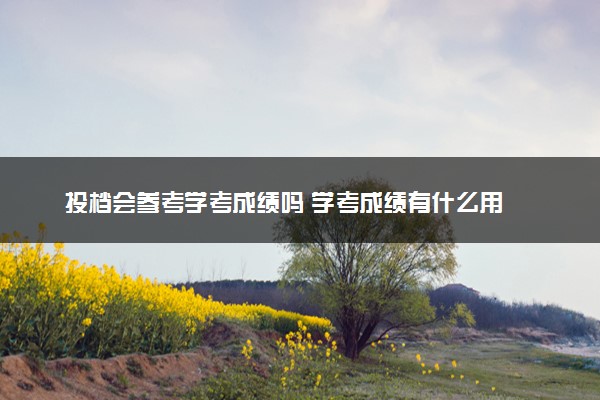 投档会参考学考成绩吗 学考成绩有什么用