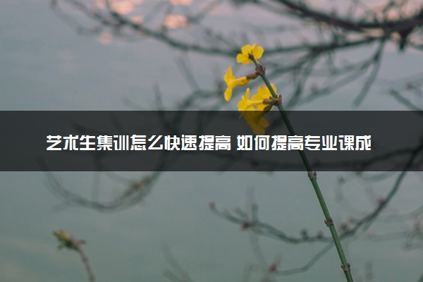 艺术生集训怎么快速提高 如何提高专业课成绩