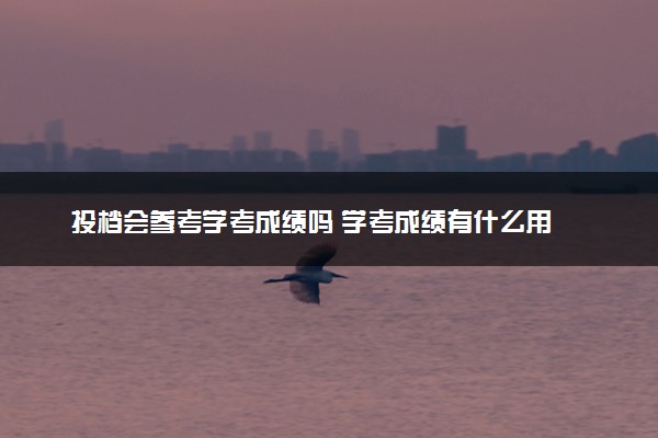 投档会参考学考成绩吗 学考成绩有什么用