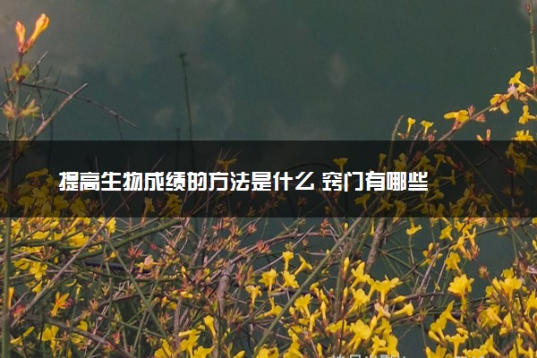 提高生物成绩的方法是什么 窍门有哪些