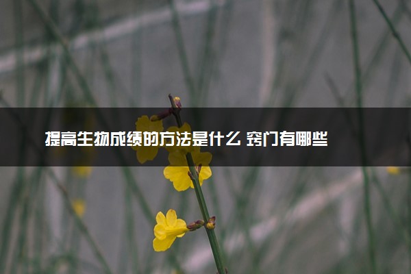 提高生物成绩的方法是什么 窍门有哪些