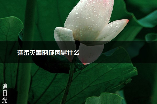 洪涝灾害的成因是什么