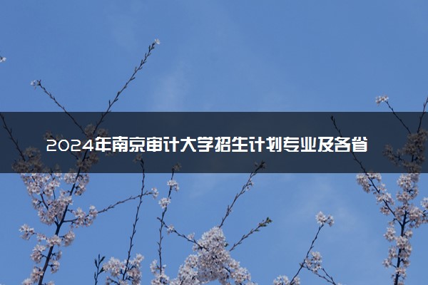 2024年南京审计大学招生计划专业及各省录取分数线位次