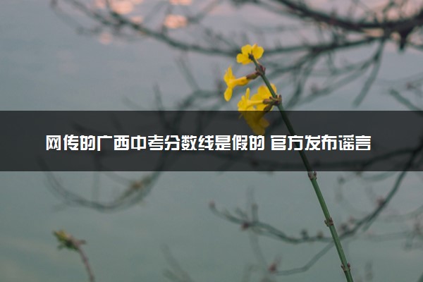 网传的广西中考分数线是假的 官方发布谣言澄清