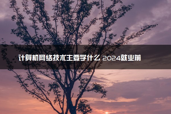 计算机网络技术主要学什么 2024就业前景好吗