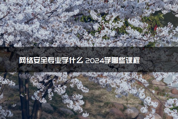 网络安全专业学什么 2024学哪些课程