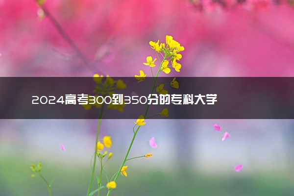 2024高考300到350分的专科大学 哪些院校值得读