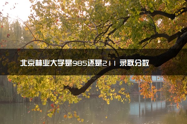 北京林业大学是985还是211 录取分数线是多少