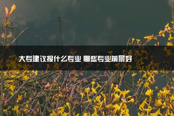 大专建议报什么专业 哪些专业前景好