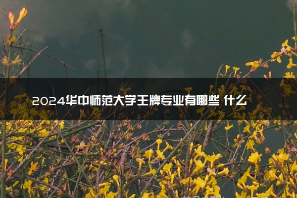 2024华中师范大学王牌专业有哪些 什么专业可以报考