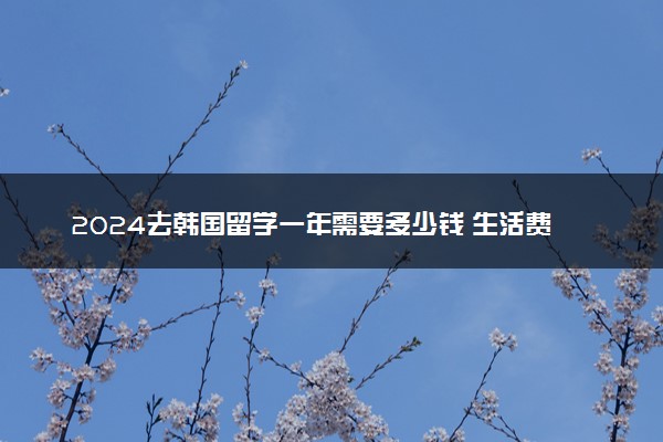 2024去韩国留学一年需要多少钱 生活费多少