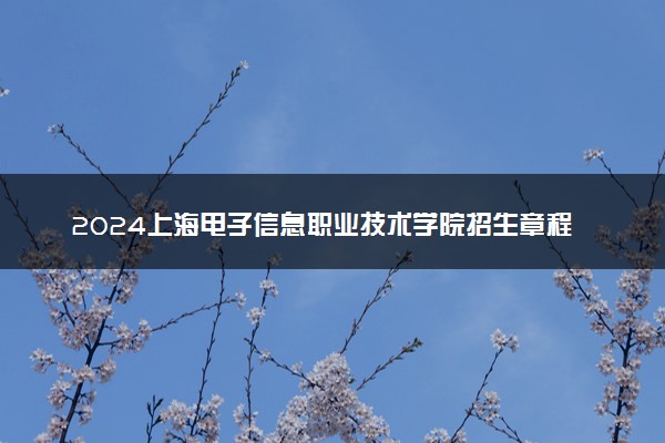 2024上海电子信息职业技术学院招生章程