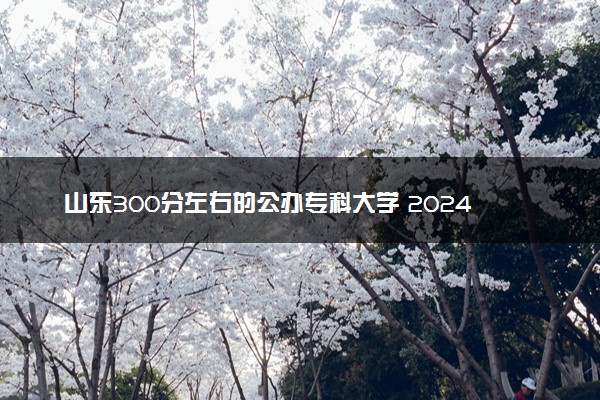 山东300分左右的公办专科大学 2024可以报哪些院校