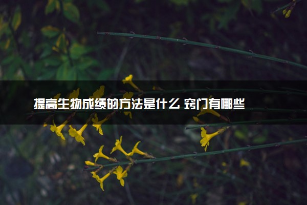 提高生物成绩的方法是什么 窍门有哪些