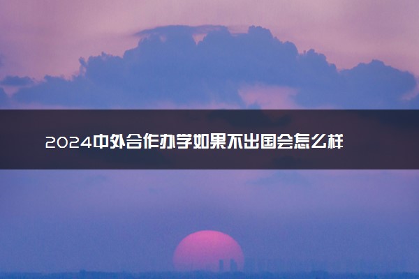 2024中外合作办学如果不出国会怎么样 好就业吗