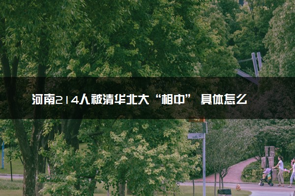 河南214人被清华北大“相中” 具体怎么回事