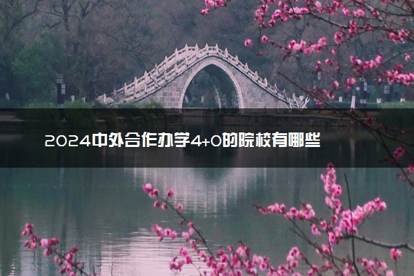 2024中外合作办学4+0的院校有哪些 哪个大学最好