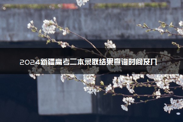 2024新疆高考二本录取结果查询时间及入口 在哪查录取状态