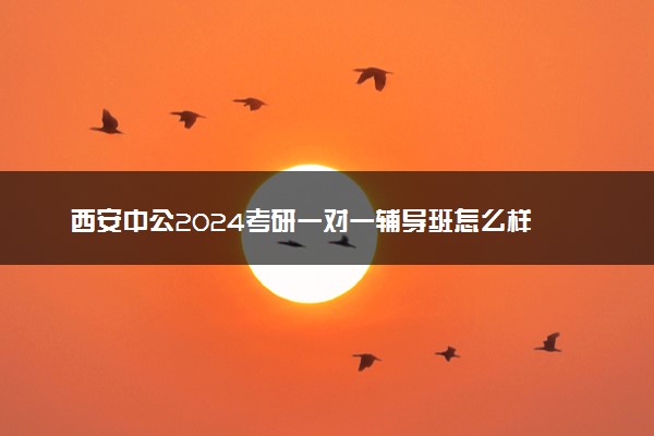 西安中公2024考研一对一辅导班怎么样