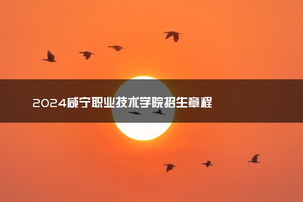 2024咸宁职业技术学院招生章程