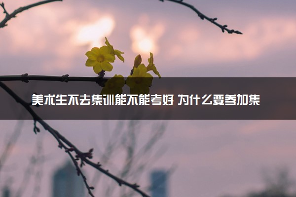 美术生不去集训能不能考好 为什么要参加集训