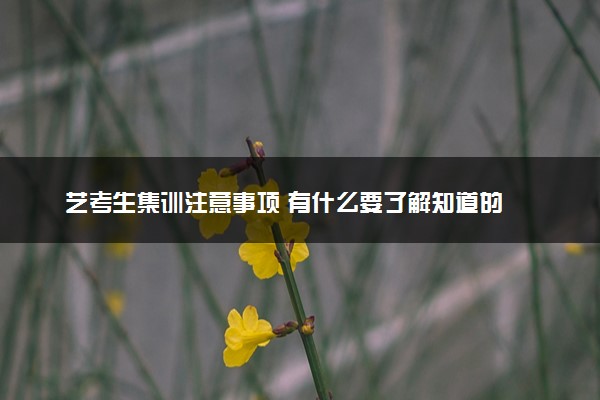 艺考生集训注意事项 有什么要了解知道的