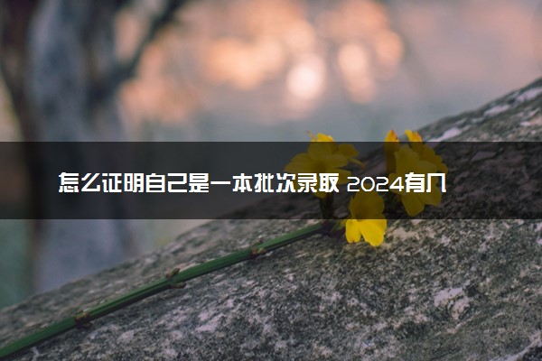 怎么证明自己是一本批次录取 2024有几个录取批次