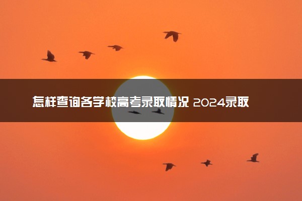 怎样查询各学校高考录取情况 2024录取要多久