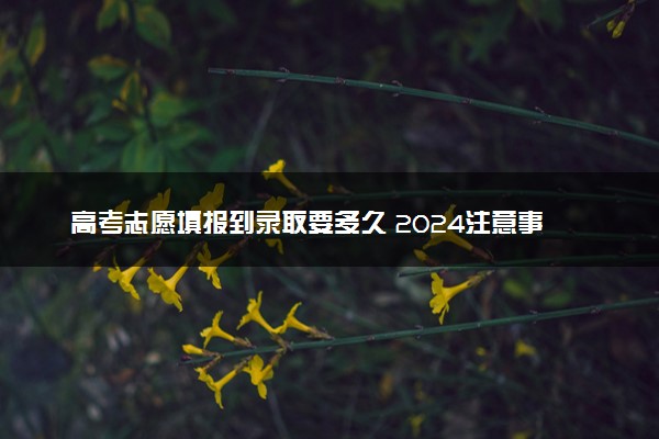 高考志愿填报到录取要多久 2024注意事项有什么