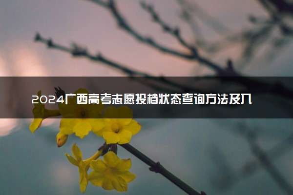 2024广西高考志愿投档状态查询方法及入口 在哪查