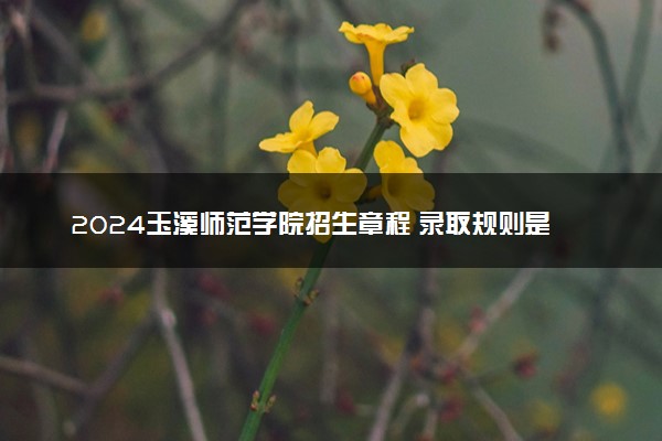 2024玉溪师范学院招生章程 录取规则是什么