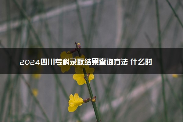 2024四川专科录取结果查询方法 什么时候结束录取