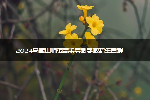 2024马鞍山师范高等专科学校招生章程 录取规则是什么