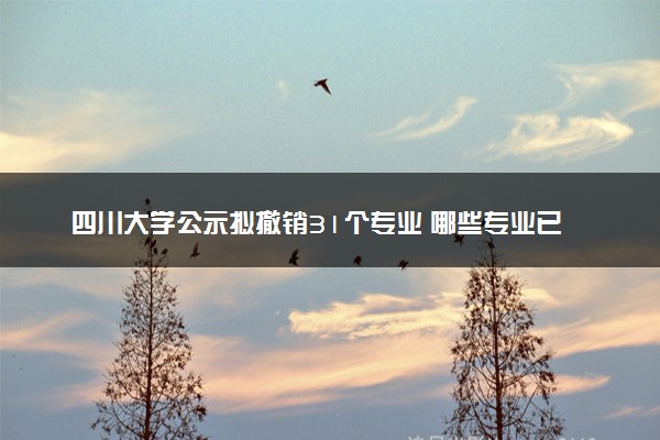 四川大学公示拟撤销31个专业 哪些专业已经停招