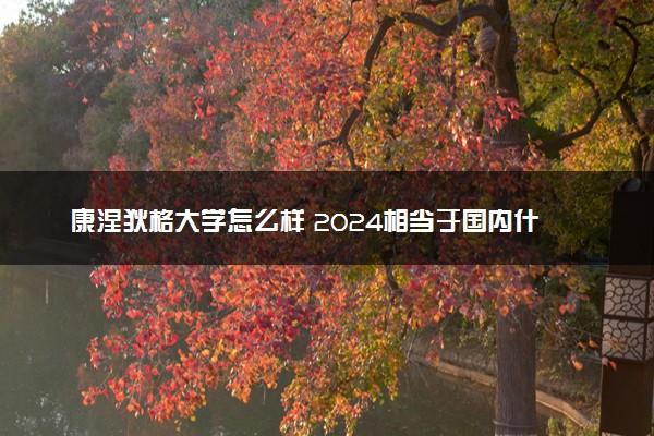 康涅狄格大学怎么样 2024相当于国内什么大学