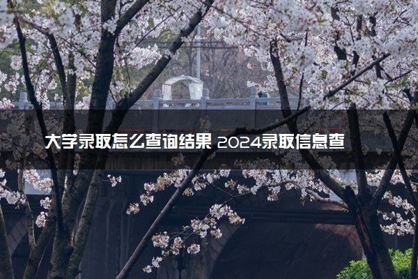 大学录取怎么查询结果 2024录取信息查询方法