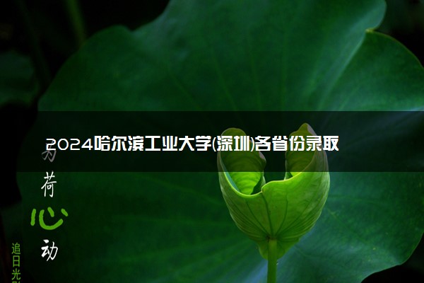 2024哈尔滨工业大学(深圳)各省份录取分数线及位次 最低分是多少