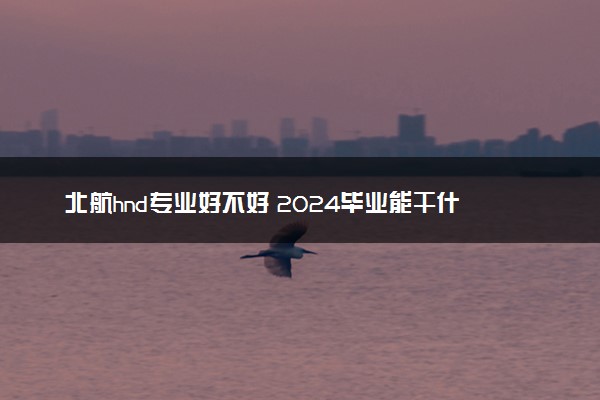 北航hnd专业好不好 2024毕业能干什么