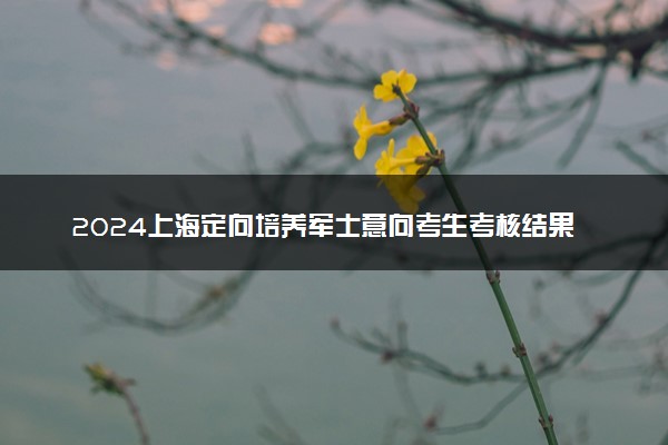 2024上海定向培养军士意向考生考核结果公布 今日可查