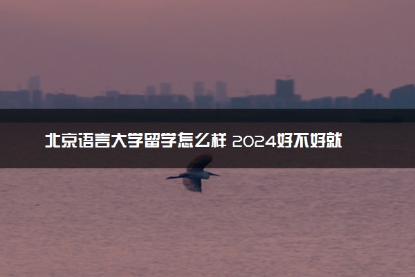 北京语言大学留学怎么样 2024好不好就业