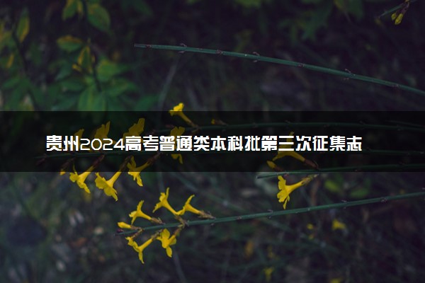 贵州2024高考普通类本科批第三次征集志愿录取分数及位次