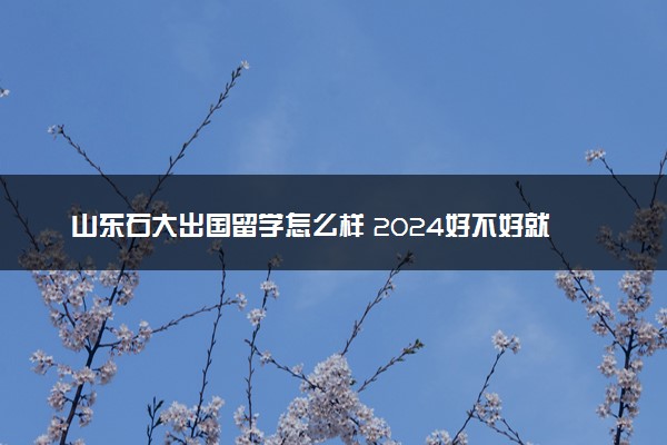 山东石大出国留学怎么样 2024好不好就业