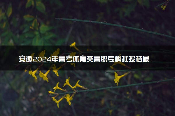 安徽2024年高考体育类高职专科批投档最低分及名次