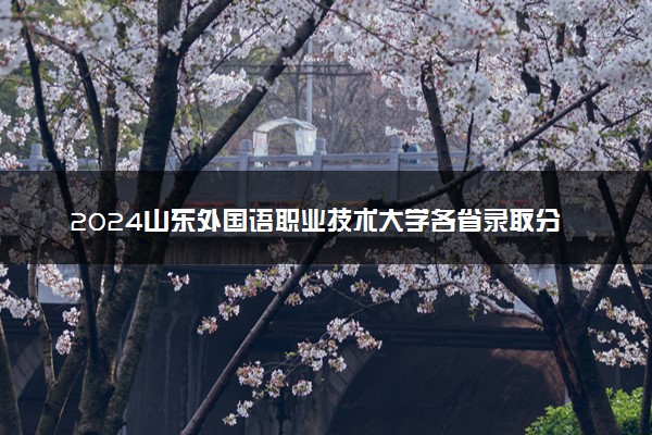 2024山东外国语职业技术大学各省录取分数线是多少 附历年最低分