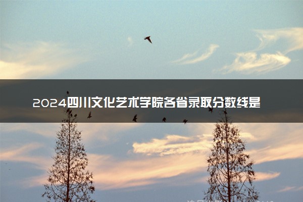 2024四川文化艺术学院各省录取分数线是多少 附历年最低分