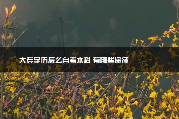 大专学历怎么自考本科 有哪些途径