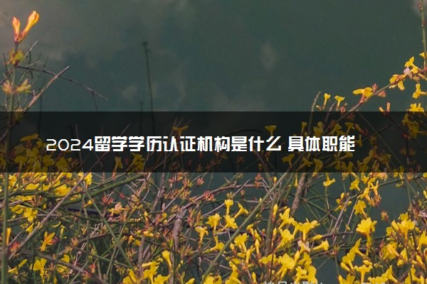 2024留学学历认证机构是什么 具体职能介绍