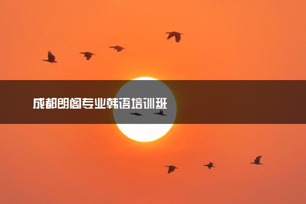 成都朗阁专业韩语培训班